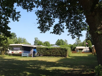 Green camping area with caravans, lawn, trees and hedges on a sunny day.