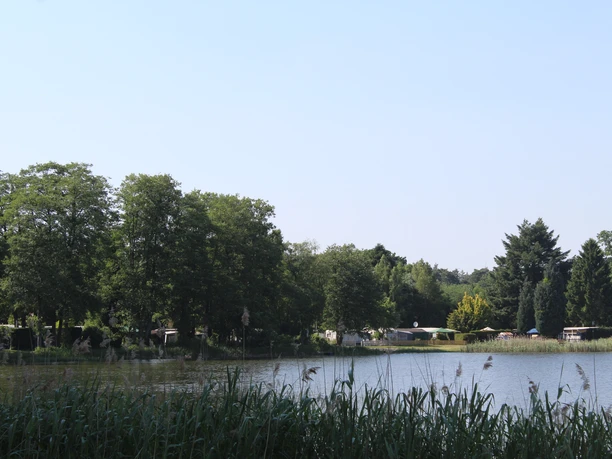 Campingplatz Hämelsee Campingplatz Hämelsee mit grüner Uferlandschaft, Zeltflächen und dicht bewachsenen Bäumen am Wasser.