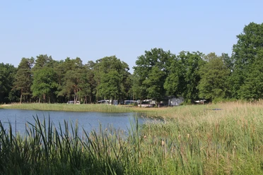 Een rustig meer omringd door hoge bomen en gras met een camping in de verte op de achtergrond.