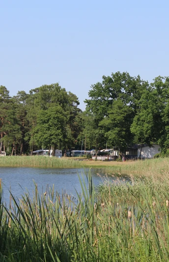 Ein stiller See umgeben von hohen Bäumen und Gräsern mit einem entfernten Campingbereich im Hintergrund.