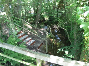 Kneippanlage umgeben von üppigem Grün, mit Stufen für Wassertreten und einem Bachlauf im Wald.