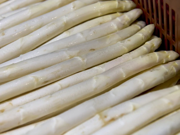 Spargel Gutshof Fenske Winnigstedt