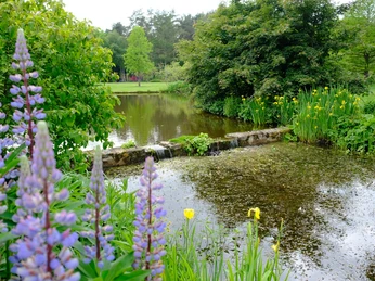 DSCF0558.JPG Ein idyllisches Gewässer umgeben von sattem Grün mit bunten Blumen, Bäumen und einem ruhigen Teich.