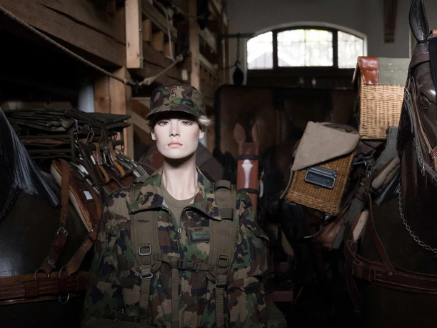 stiftung-ham-ausstellung-armeegewand-pferde.jpg