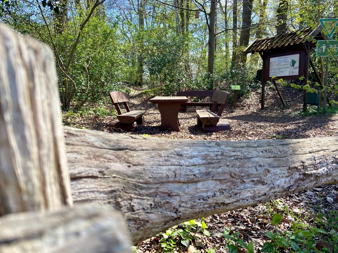 Bokeler Burg.jpg Im Vordergrund des Bildes liegt ein alter Baumstamm, dahinter eine rustikale Rastplatz mit Bänken im Wald.
