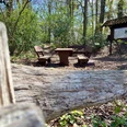Bokeler Burg.jpg Im Vordergrund des Bildes liegt ein alter Baumstamm, dahinter eine rustikale Rastplatz mit Bänken im Wald.