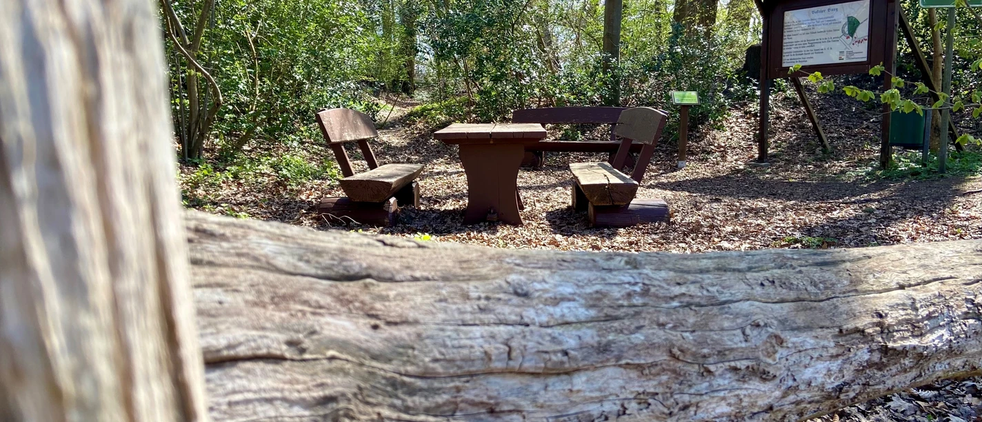 Bokeler Burg.jpg Im Vordergrund des Bildes liegt ein alter Baumstamm, dahinter eine rustikale Rastplatz mit Bänken im Wald.