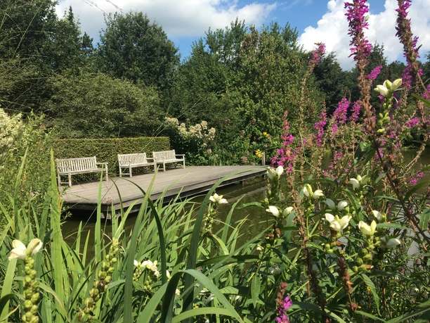 IMG_5367.JPG Malerische hölzerne Brücke über einen ruhigen Fluss, umrahmt von üppiger Natur und bunten Blumen.