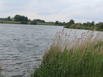 Blick auf den Fluss Alte Weser mit Schilfbewuchs am Ufer unter bewölktem Himmel.