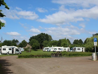 Reisemobilstellplatz mit geparkten Wohnmobilen auf einem grasbedeckten, bewaldeten Gelände bei Sonne.