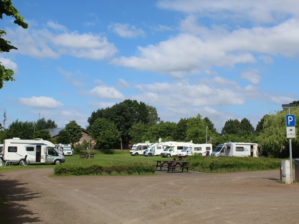 Reisemobilstellplatz mit geparkten Wohnmobilen auf einem grasbedeckten, bewaldeten Gelände bei Sonne.