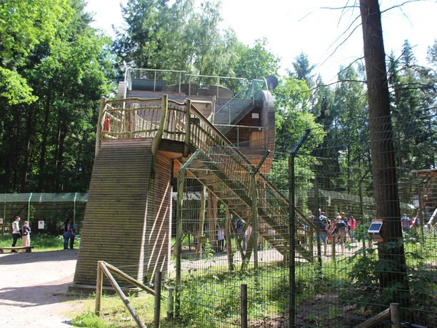 Das Baumhaushotel Tree Inn The Tree Inn tree house hotel