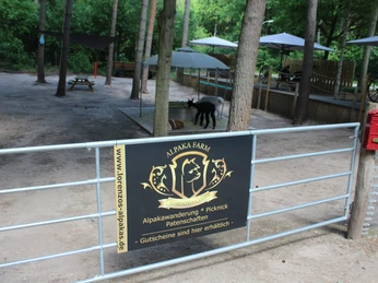 Eingezäunter Bereich mit Alpakas vor schattigen Bäumen und Holztischen, ein Schild weist Aktivitäten aus.