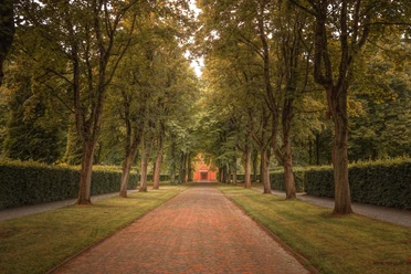 Allee im Stadtpark