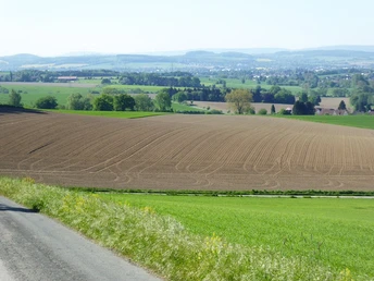 Weite Felder mit sanften Hügeln und grüne Wälder erstrecken sich unter einem klaren blauen Himmel.