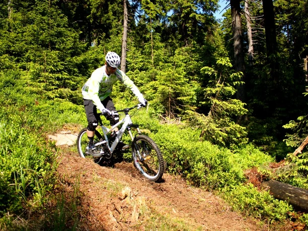 braunlage-bikepark1(c)btmg.jpg