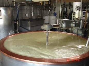 Cheese factory