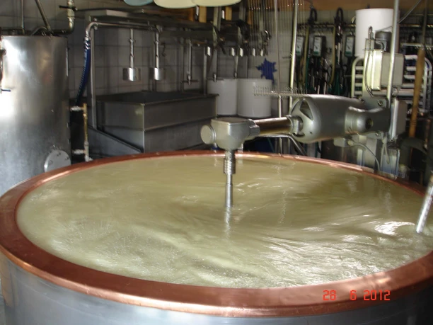 Cheese factory