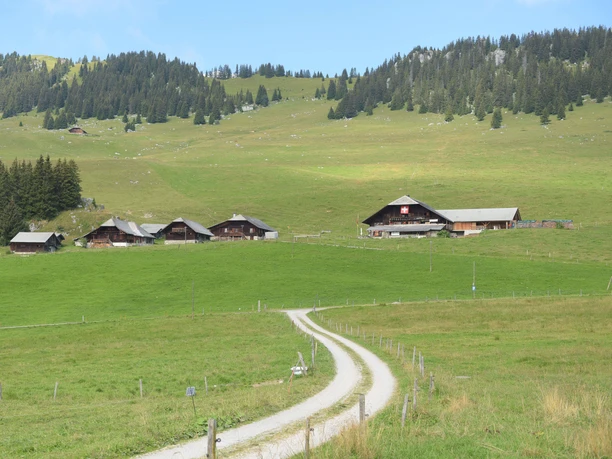 Vue au bistro d'alpage Rinderalp Vue sur les prairies vertes et plusieurs bâtiments d'alpage de la Rinderalp