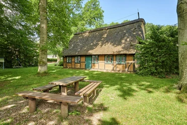 Waldmusem Wingst Reetgedecktes Fachwerkhaus im Wald. Davor lädt eine Holzbank zur Pause ein.