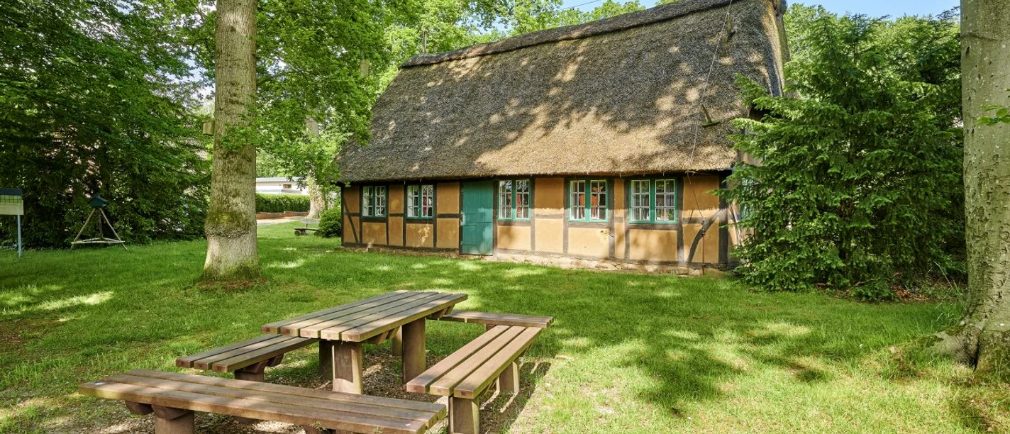 Waldmusem Wingst Reetgedecktes Fachwerkhaus im Wald. Davor lädt eine Holzbank zur Pause ein.