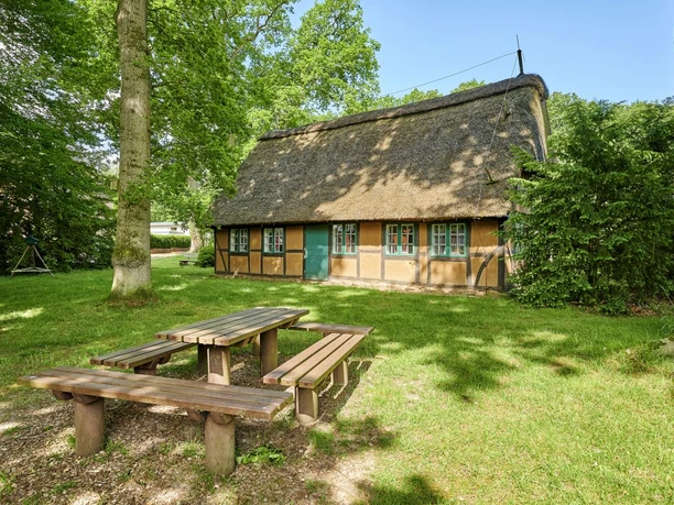 Waldmusem Wingst Reetgedecktes Fachwerkhaus im Wald. Davor lädt eine Holzbank zur Pause ein.