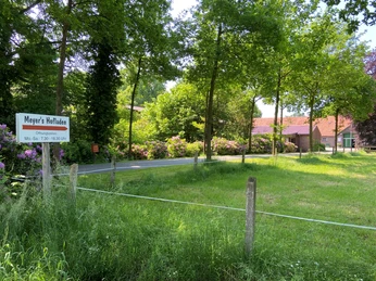 Meyers-Hofladen Meyers-Hofladen