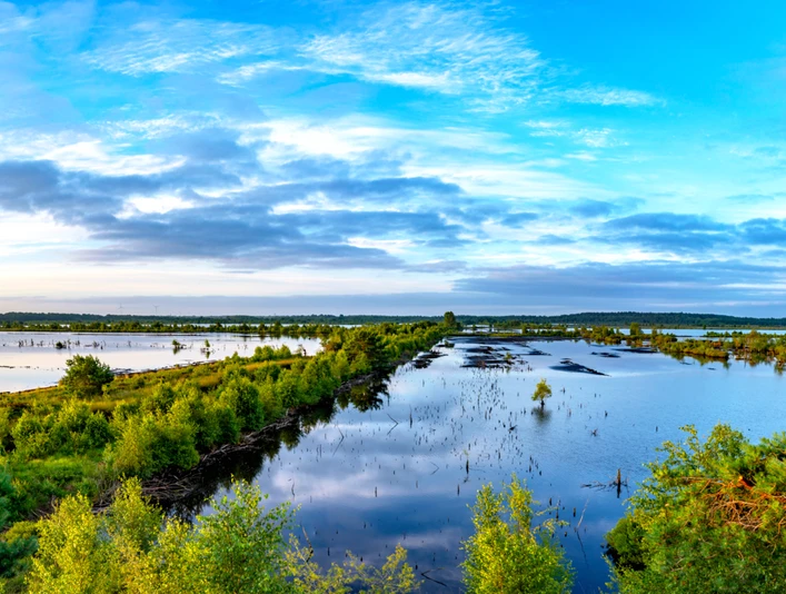 Riesige Wasserflächen im Tister Bauernmoor Riesige Wasserflächen im Tister BauernmoorHuge expanses of water in the Tister BauernmoorEnorme vandmasser i Tister BauernmoorEnorme watervlakten in het Tister Bauernmoor