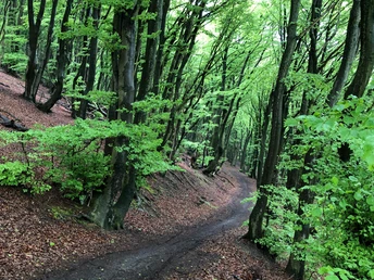 A9 Wanderweg (c) Klaudia Schneider