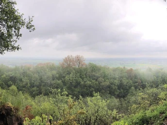 A9 Rundwanderweg Ausblick (c) Klaudia Schneider
