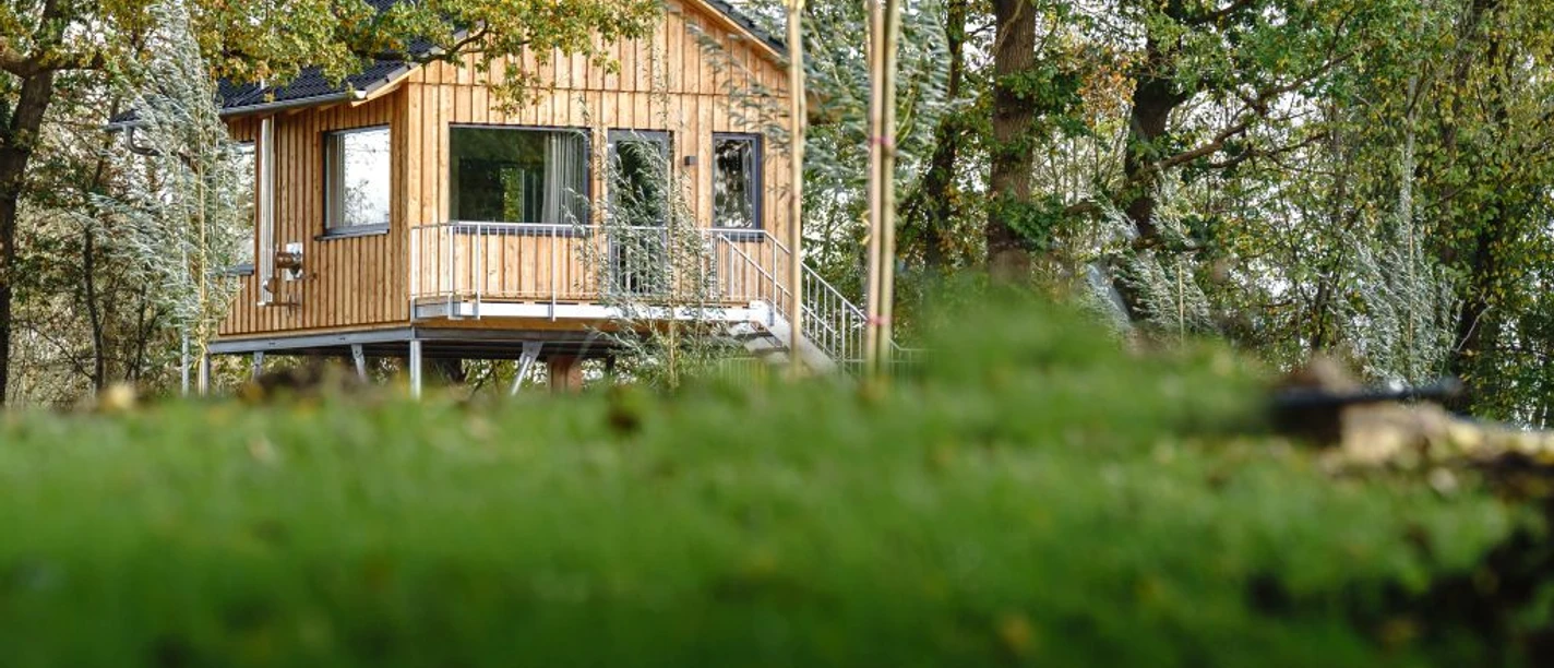 Baumhaus Amsel