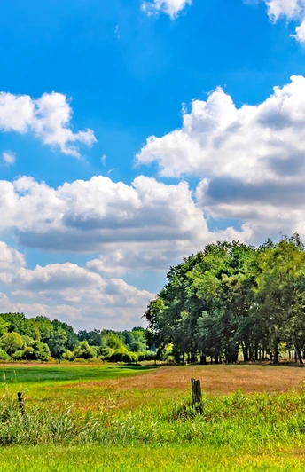 Weite Kulturlandschaft in der flach-welligen Zevener Geest Weite Kulturlandschaft in der flach-welligen Zevener GeestWide cultural landscape in the flat, undulating Zevener GeestBredt kulturlandskab i det flade, bølgende Zevener GeestWeids cultuurlandschap in de vlakke, golvende Zevener Geest