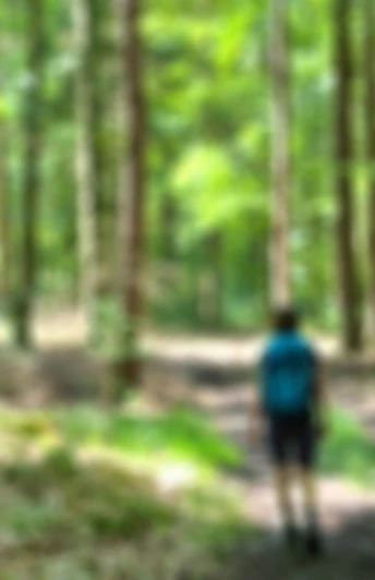Markierung der Bärenlochschlaufe Ein Schild der Bärenlochschlaufe am Baum mit Wanderer im Wald.