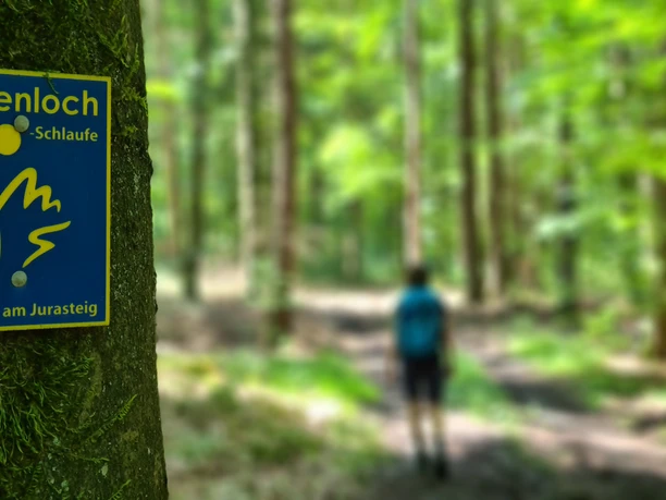 Markierung der Bärenlochschlaufe Ein Schild der Bärenlochschlaufe am Baum mit Wanderer im Wald.