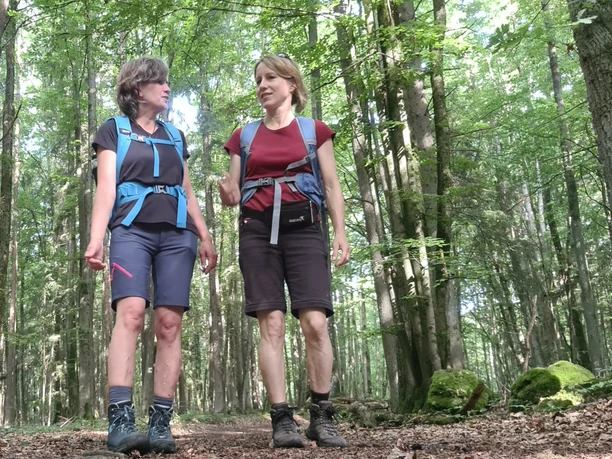 Auf der Bärenlochschlaufe Zwei Personen wandern auf einem Waldweg, umgeben von hohen grünen Bäumen.