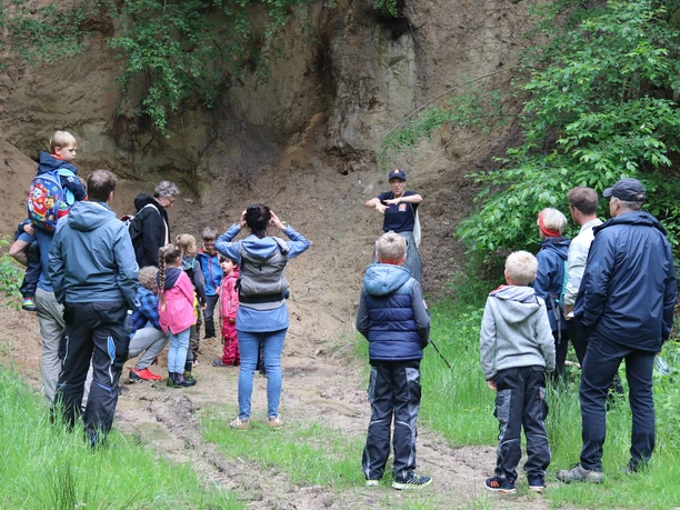 Geheimnissen des Waldes auf der Spur