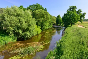 Die Aller bei Gifhorn in der Südheide Gifhorn Die Aller bei Gifhorn in der Südheide Gifhorn