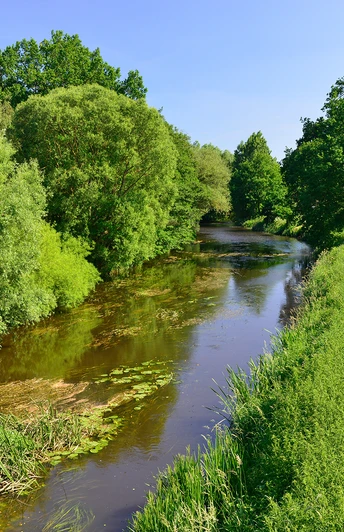 Die Aller bei Gifhorn in der Südheide Gifhorn Die Aller bei Gifhorn in der Südheide Gifhorn