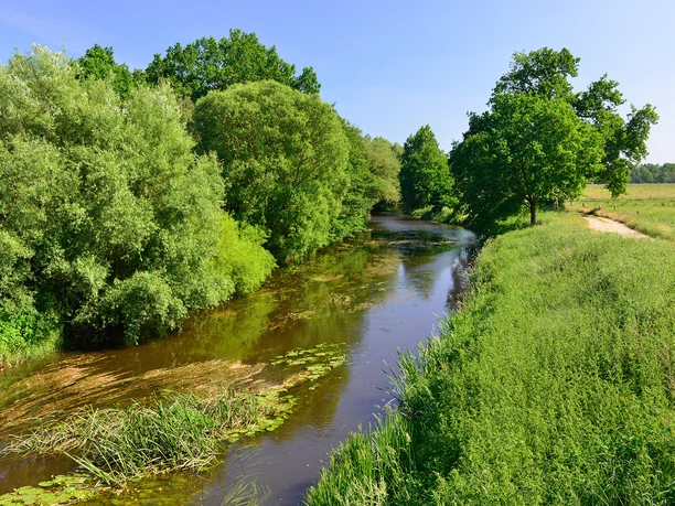 Die Aller bei Gifhorn in der Südheide Gifhorn Die Aller bei Gifhorn in der Südheide Gifhorn