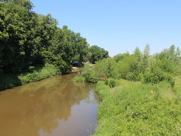 Skulptur "Der rote Mann" Rote Skulptur „Der rote Mann“ im Grünen am Fluss, von dichtem Laub und Spiegelung begleitet.
