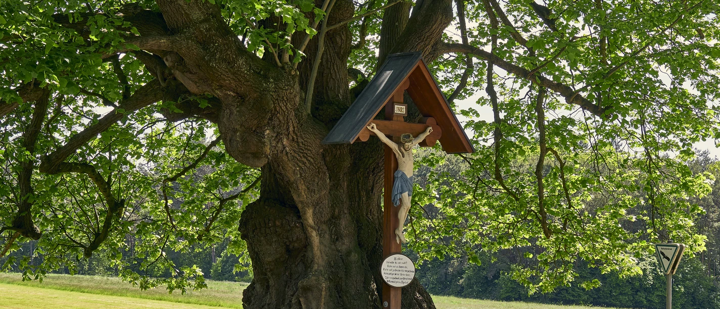 Die Predigerlinde in Bad Laer