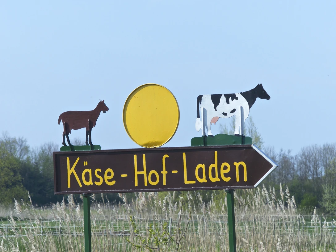 Käse Hof in Pilsum Holzschild mit gelbem Käserad, Kuh- und Ziegenfigur und Schriftzug Käse-Hof-Laden auf Pfeil.