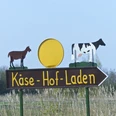 Käse Hof in Pilsum Holzschild mit gelbem Käserad, Kuh- und Ziegenfigur und Schriftzug Käse-Hof-Laden auf Pfeil.