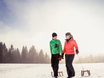 Rodeln Schwarzwald Plus Schlittenverleih Rodeln Schwarzwald Plus Schlittenverleih
