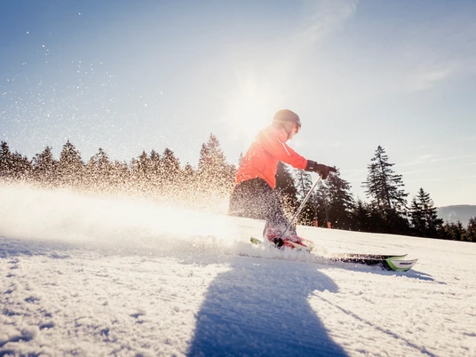 Skifahren gratis Skiticket Schwarzwald Plus Skifahren gratis Skiticket Schwarzwald Plus