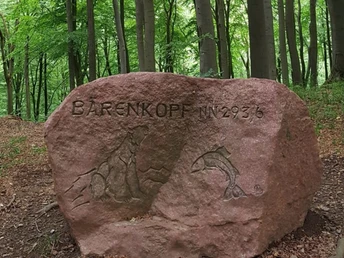 Auf dem Bärenkopf Ein großer Naturstein mit der Gravur "Bärenkopf 2936" liegt in einem dichten, grünen Wald.