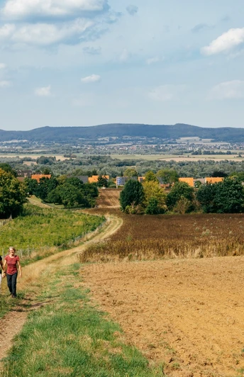Wandern in den Weserdörfern Eine Gruppe wandert auf einem ländlichen Weg mit Blick auf Hügel und ein weitläufiges Tal.