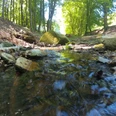 Luhquelle Ein sanft plätschernder Bach fließt durch einen bewaldeten Bereich, umgeben von Felsen.