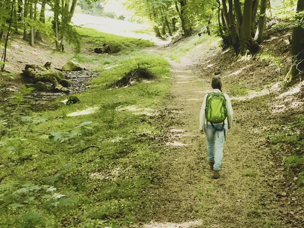 Unterwegs auf dem Luhbachweg Ein Wanderer mit grünem Rucksack geht auf einem schattigen Waldweg entlang des plätschernden Bachs.