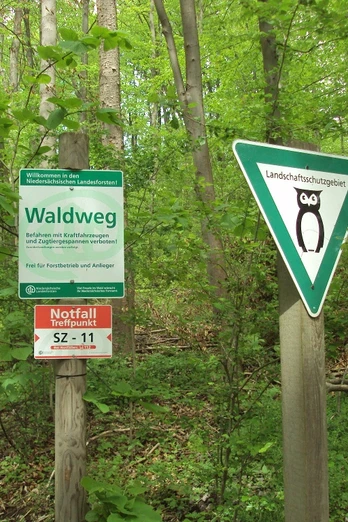 Salzgitter-Bad, Waldeingang Wanderweg 11 bei der Zufahrt zum MTV Sportgelände